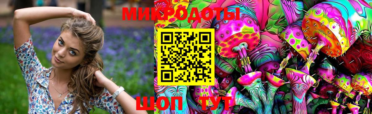 Псилоцибиновые грибы прущие грибы Ноябрьск