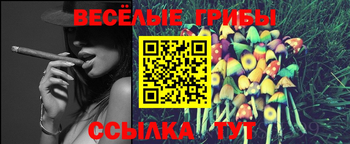 Псилоцибиновые грибы GOLDEN TEACHER Ноябрьск