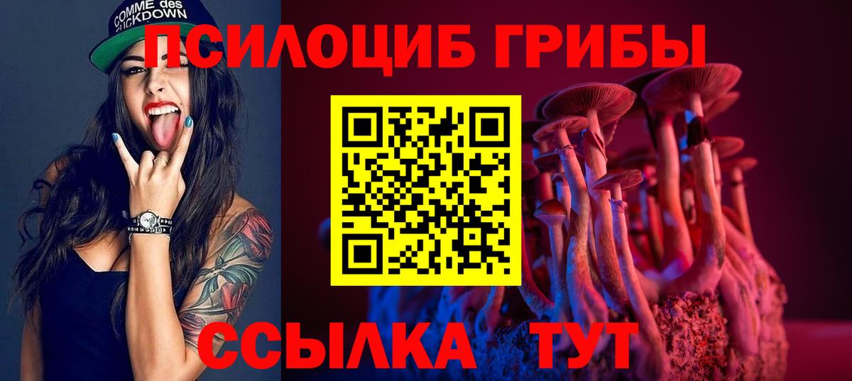 Псилоцибиновые грибы Psilocybine cubensis  Ноябрьск 